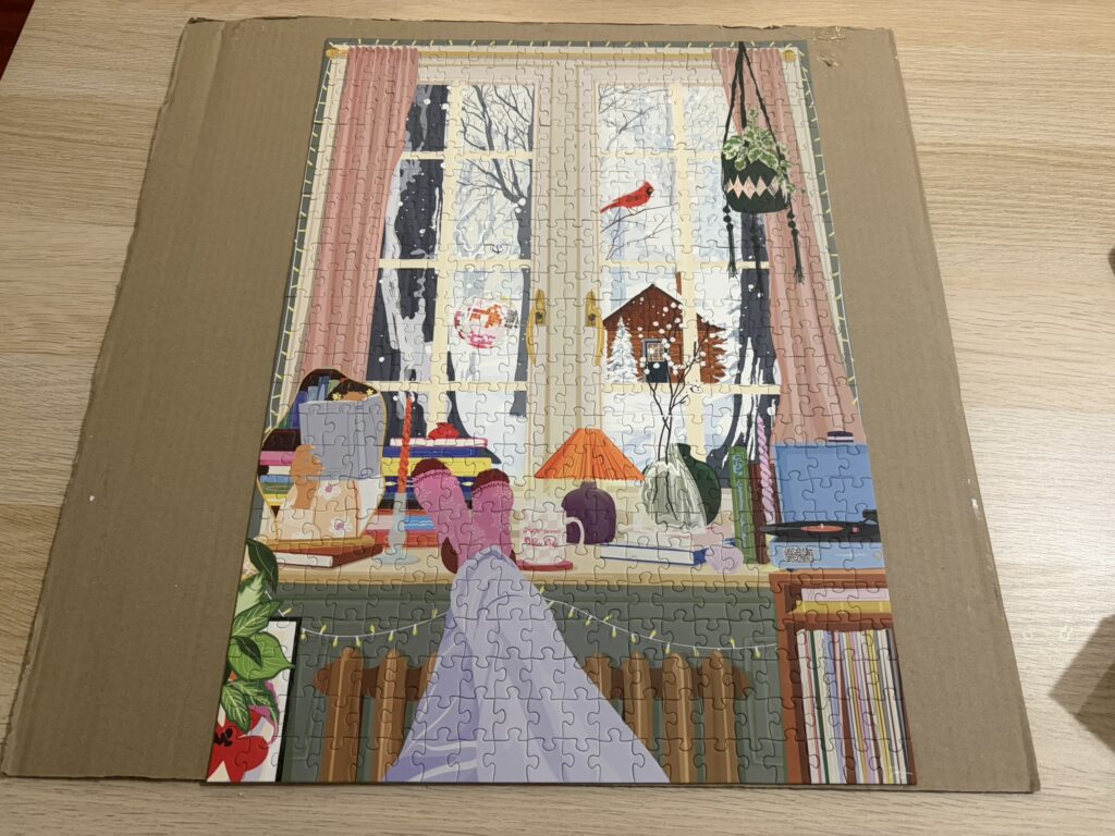 段ボールで保管する（低予算・今すぐできる）