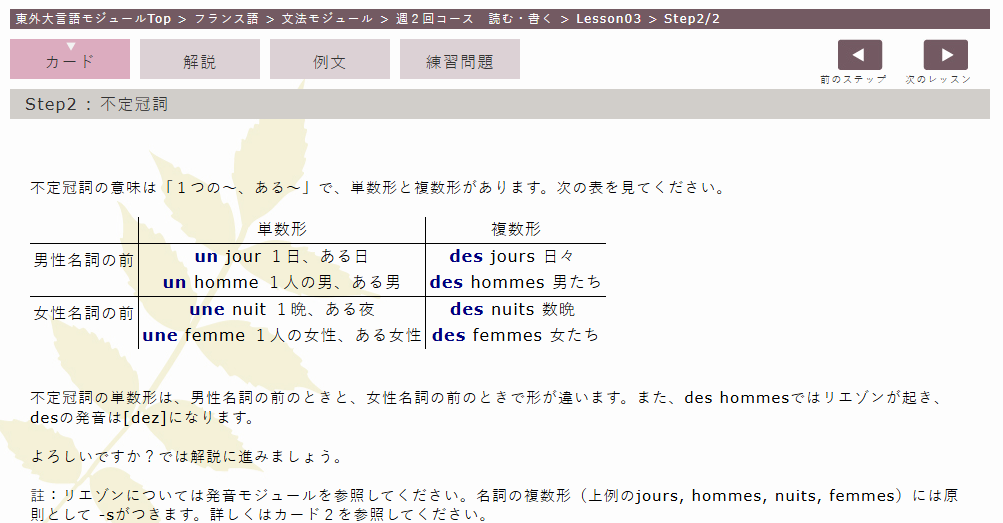 東京外大言語モジュールの弱点は?