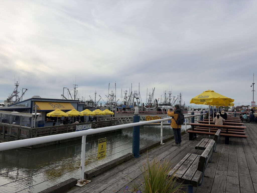 ② 魚介グルメを楽しむpajos