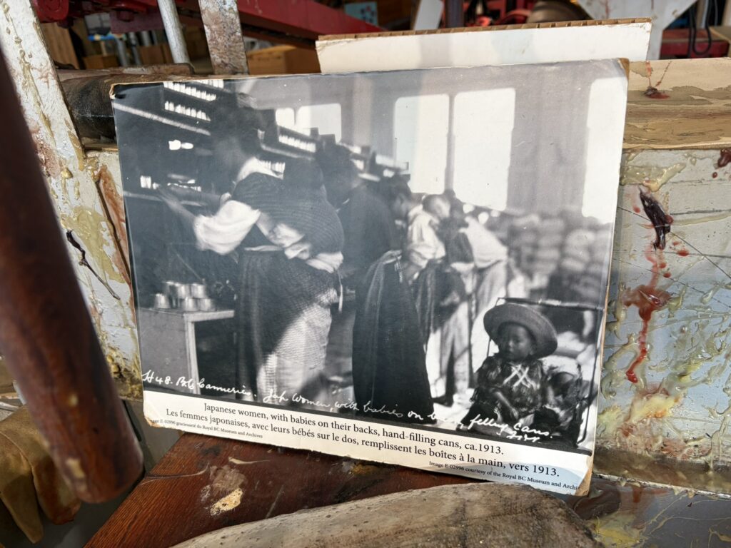 スティーブストン日系人