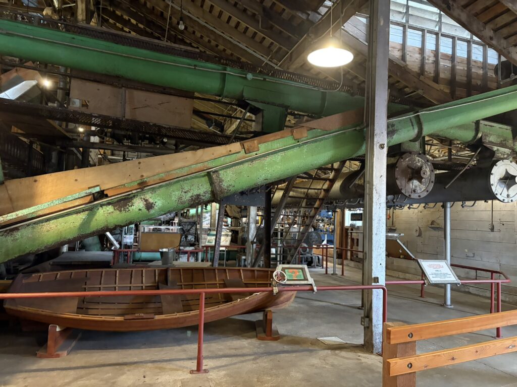 サーモン加工ライン