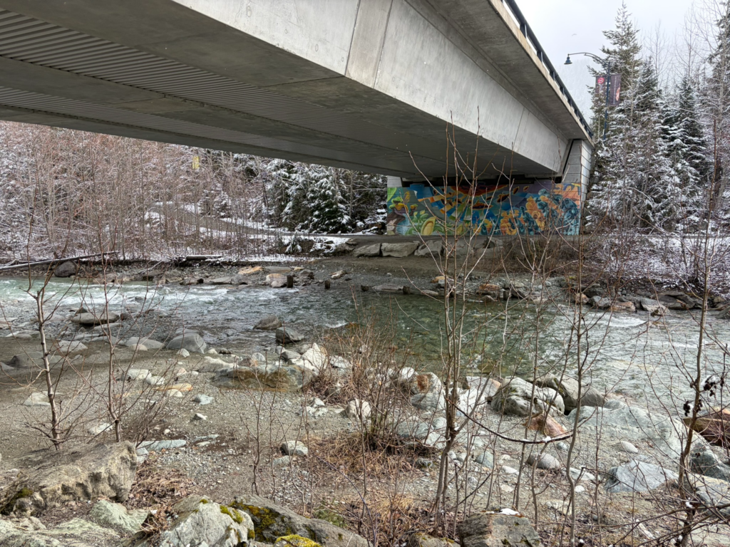 ウィスラーのかわ