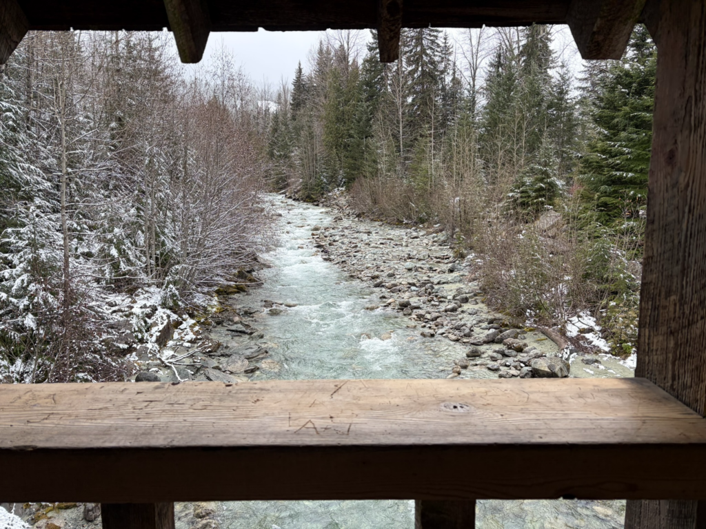 ウィスラーの自然